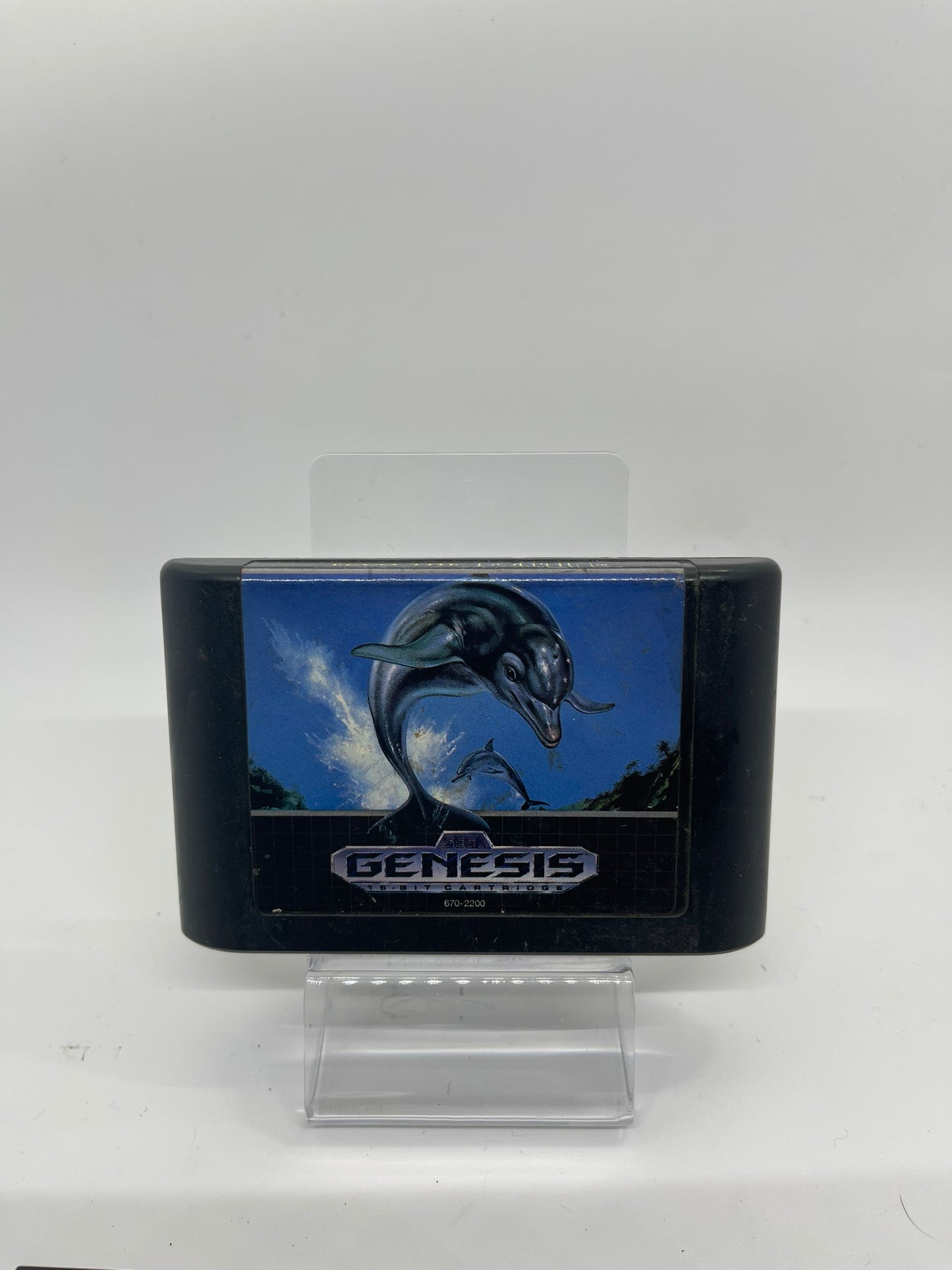 Echo the Dolphin