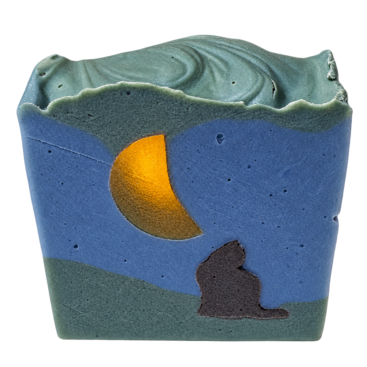 Moonlit Cat